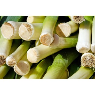 poireaux produits locaux alsace