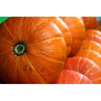 panier ferme alsace potimarron