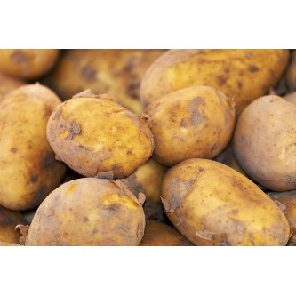 producteur local alsace