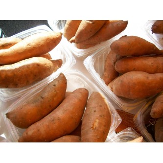 legumes ferme alsace