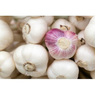 legumes locales alsace