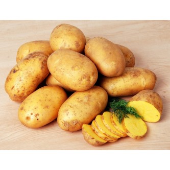 producteur légumes alsace