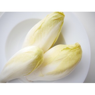 endive alsace