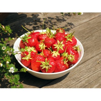 Panier à 15 €