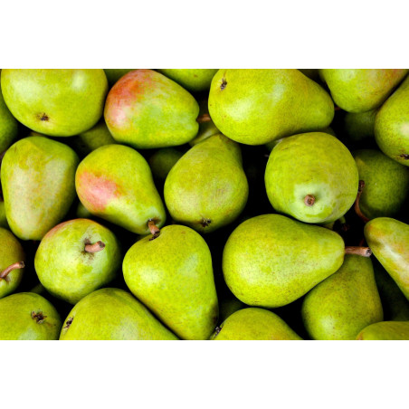 Poires - panier de fruit et légumes - produit locaux