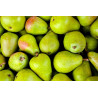 Poires - panier de fruit et légumes - produit locaux