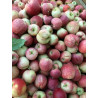Pommes de second choix (5 kilos) - panier de fruit et légumes - produit locaux