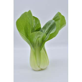Chou chinois (pièce) - panier de fruit et légumes - produit locaux