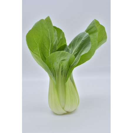Chou chinois (pièce) - panier de fruit et légumes - produit locaux