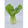 Chou chinois (pièce) - panier de fruit et légumes - produit locaux