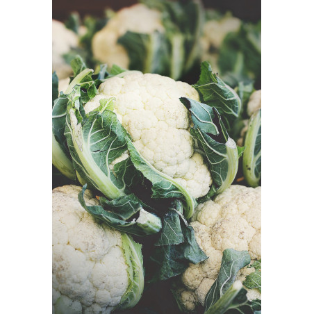 Chou fleur- panier de fruit et légumes - produit locaux