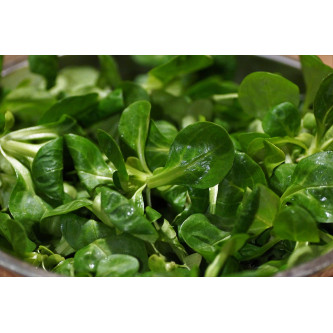 Mâche (150g)