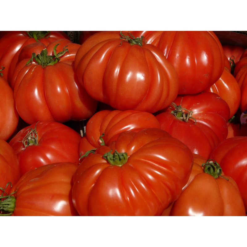 Tomates cœur de bœuf (kilo) - panier de fruit et légumes - produit locaux