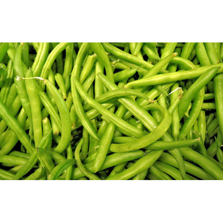Haricots verts (500g) - panier de fruit et légumes - produit locaux
