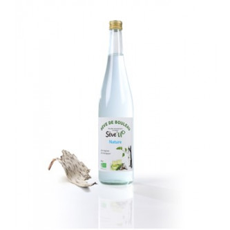 Sève de bouleau nature bio (75cl) - boissons artisanales