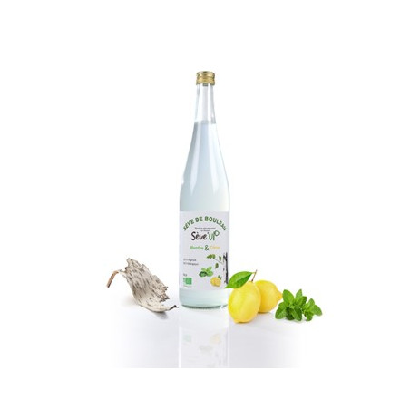 Sève de bouleau - menthe - citron bio (75cl) - boissons artisanales