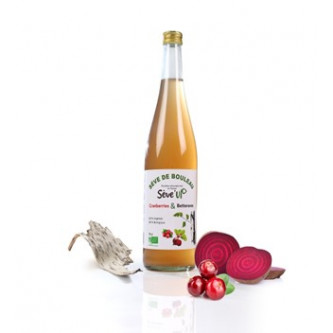 Sève de bouleau - ananas bio (75cl) - boissons artisanales