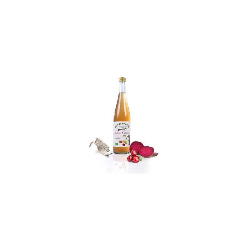 Sève de bouleau - ananas bio (75cl) - boissons artisanales