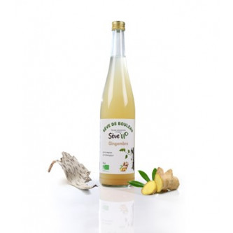 Sève de bouleau - gingembre bio (75cl) - boissons artisanales