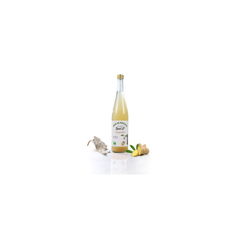 Sève de bouleau - gingembre bio (75cl) - boissons artisanales