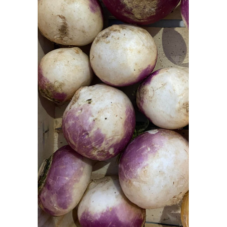 Navets blancs - panier de fruit et légumes - produit locaux