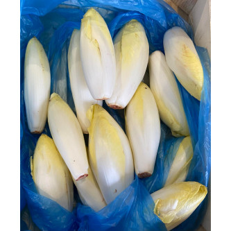 Endive - panier de fruit et légumes - produit locaux
