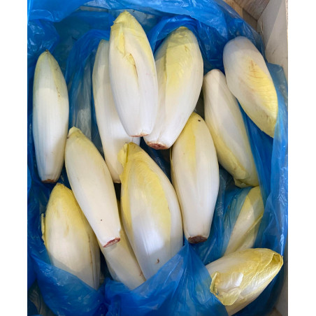 Endive - panier de fruit et légumes - produit locaux
