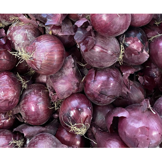 Oignons rouges - panier de fruit et légumes - produit locaux