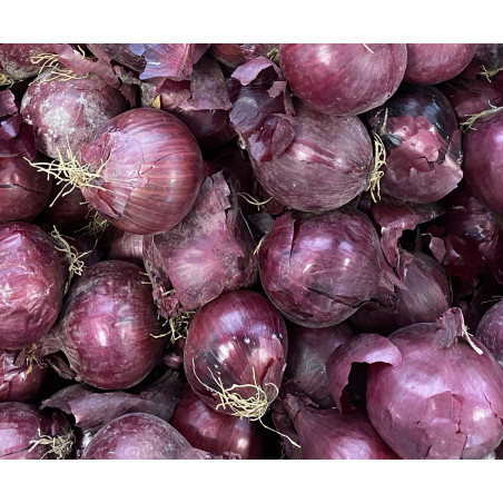 Oignons rouges - panier de fruit et légumes - produit locaux