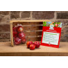 Pomme (Gala) - panier - vente - fruit - légumes - Alsace - local