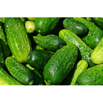 Concombre noa - panier de fruit et légumes - produit locaux