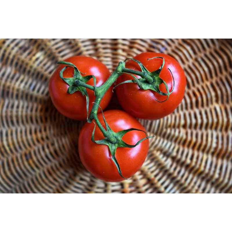 Tomates - panier de fruit et légumes - produit locaux Tomates - panier de fruit et légumes - produit locaux