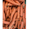Carottes - panier de fruit et légumes - produit locaux