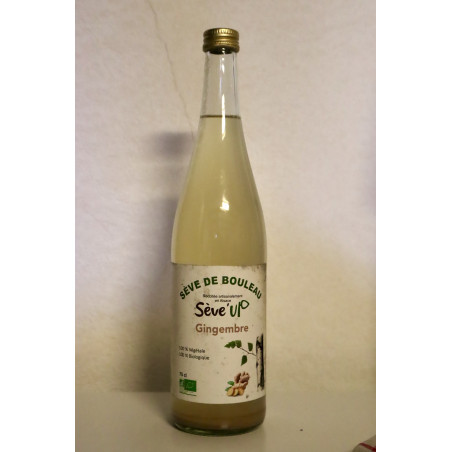 Sève de bouleau - gingembre bio (75cl) - boissons artisanales