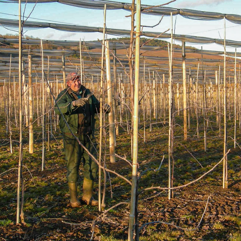 Dettling%20Producteur%20Fruit%20Local%20Alsace.jpg